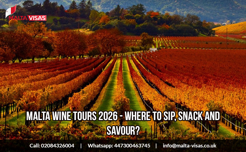 Malta Wine Tours 2026 - Where to Sip, Snack and Savour?
